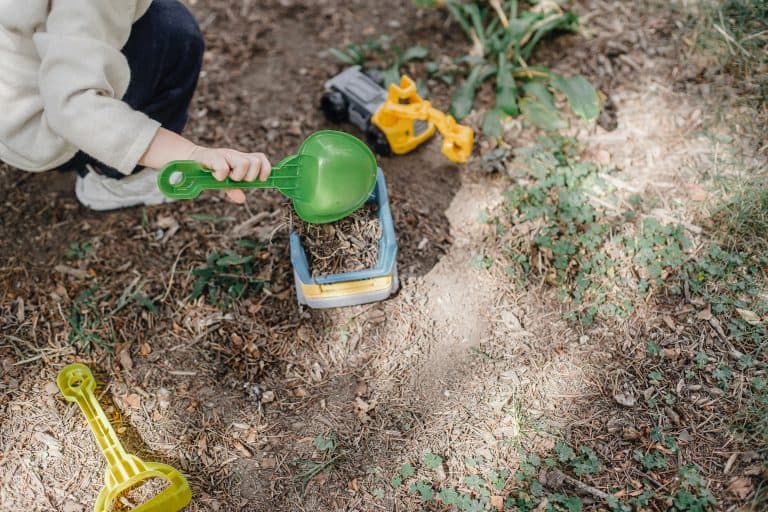 Nature Play venues in Singapore